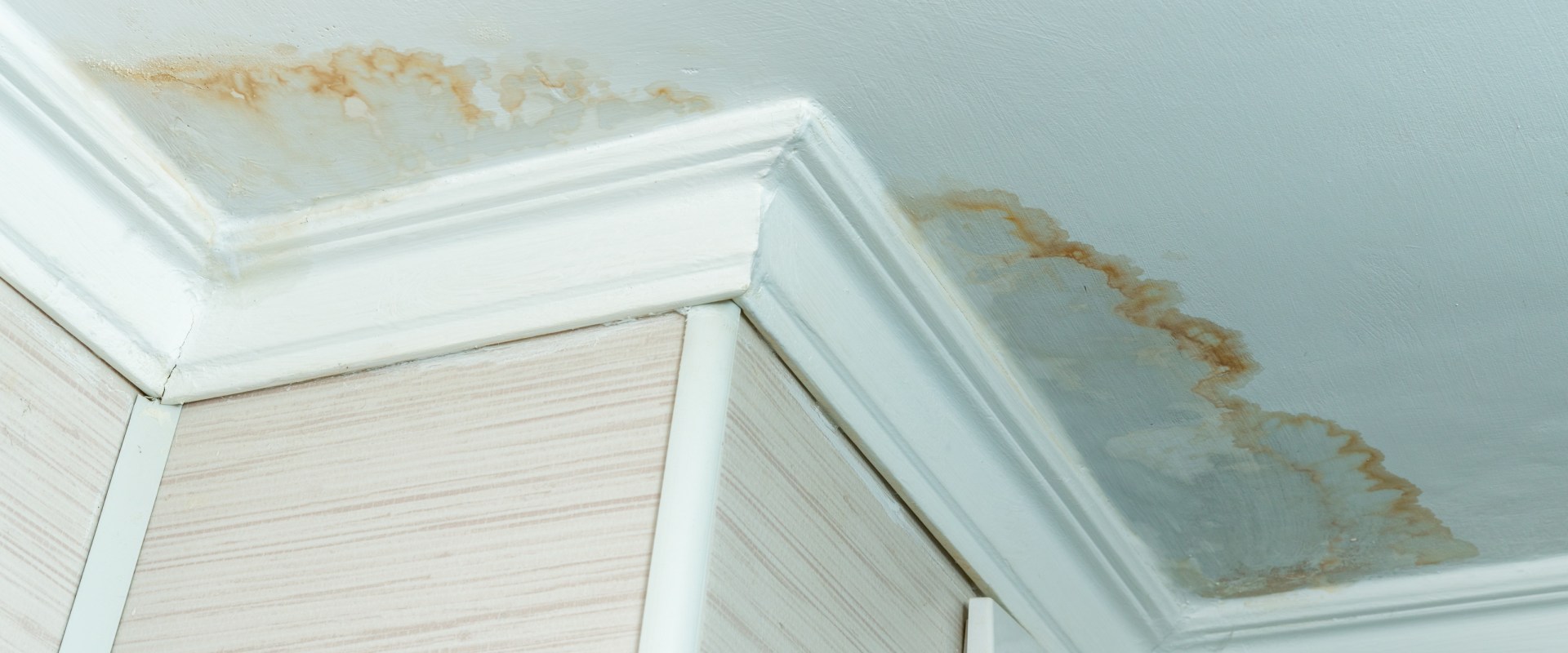 Can you just paint over water damage?
