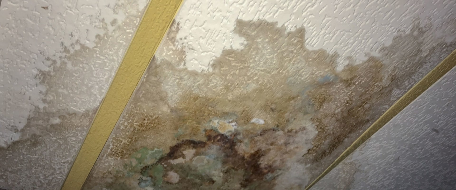 Will a one time water leak cause mold?
