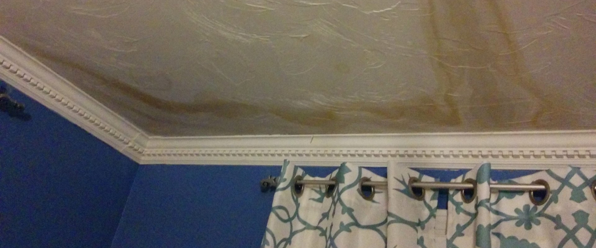 Does water damage in wall mean mold?