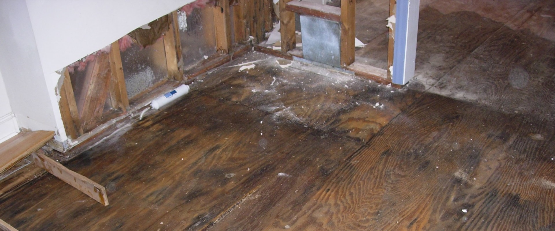 What does water damage in a house look like?
