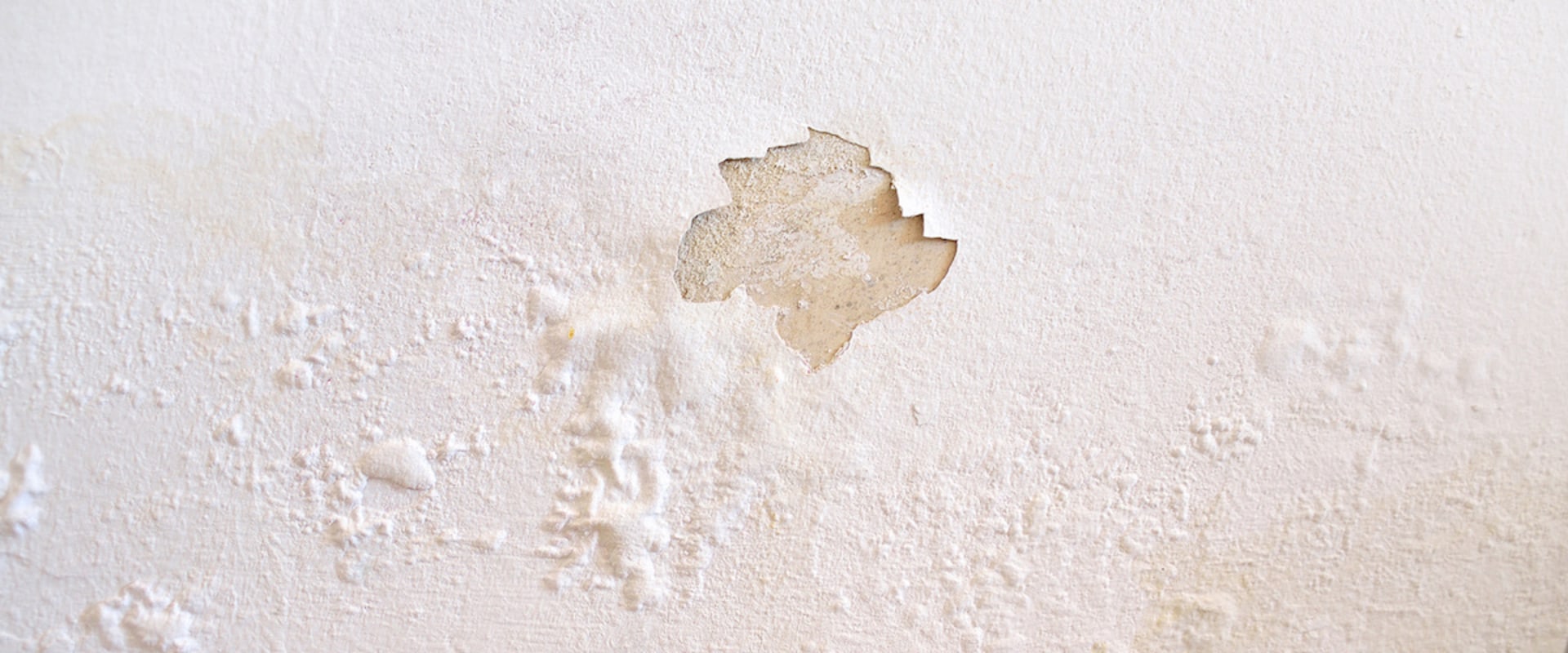 What to Do When Drywall Gets Wet