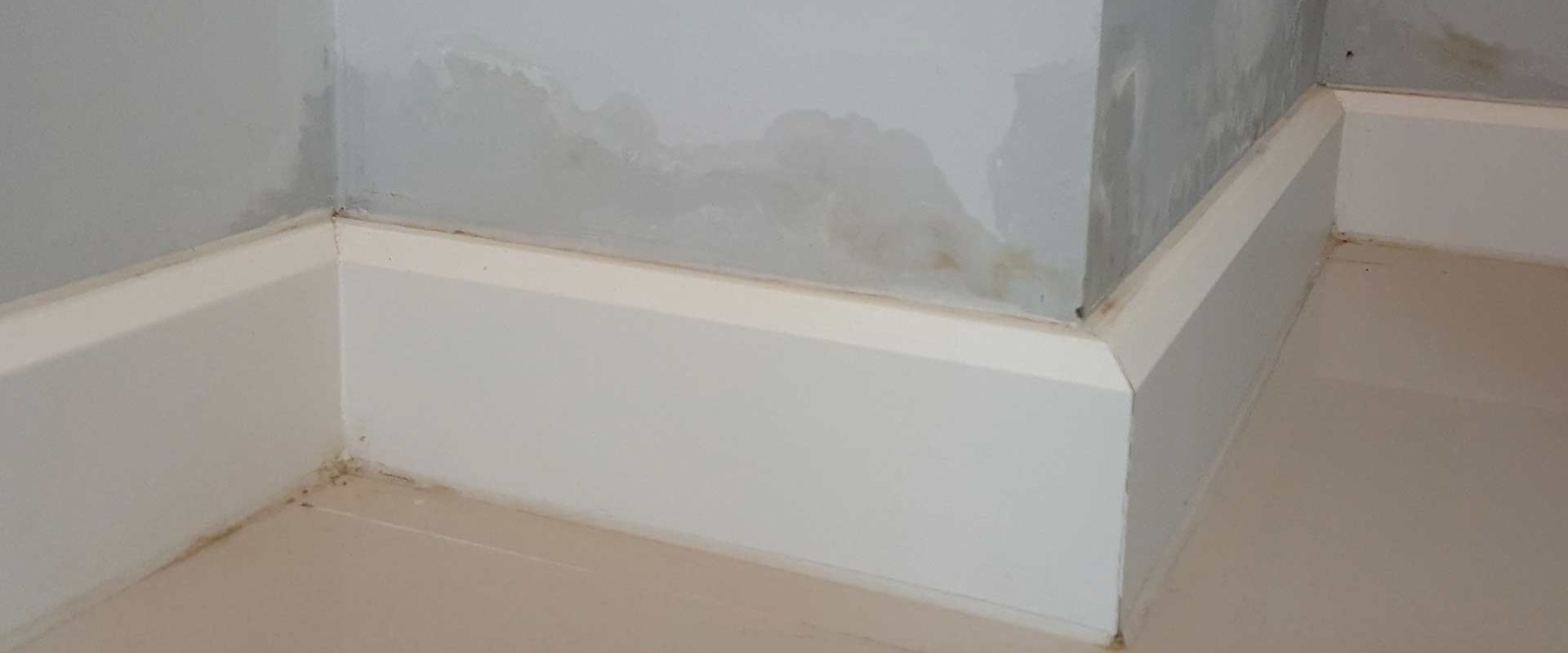 Will a damp wall dry out?