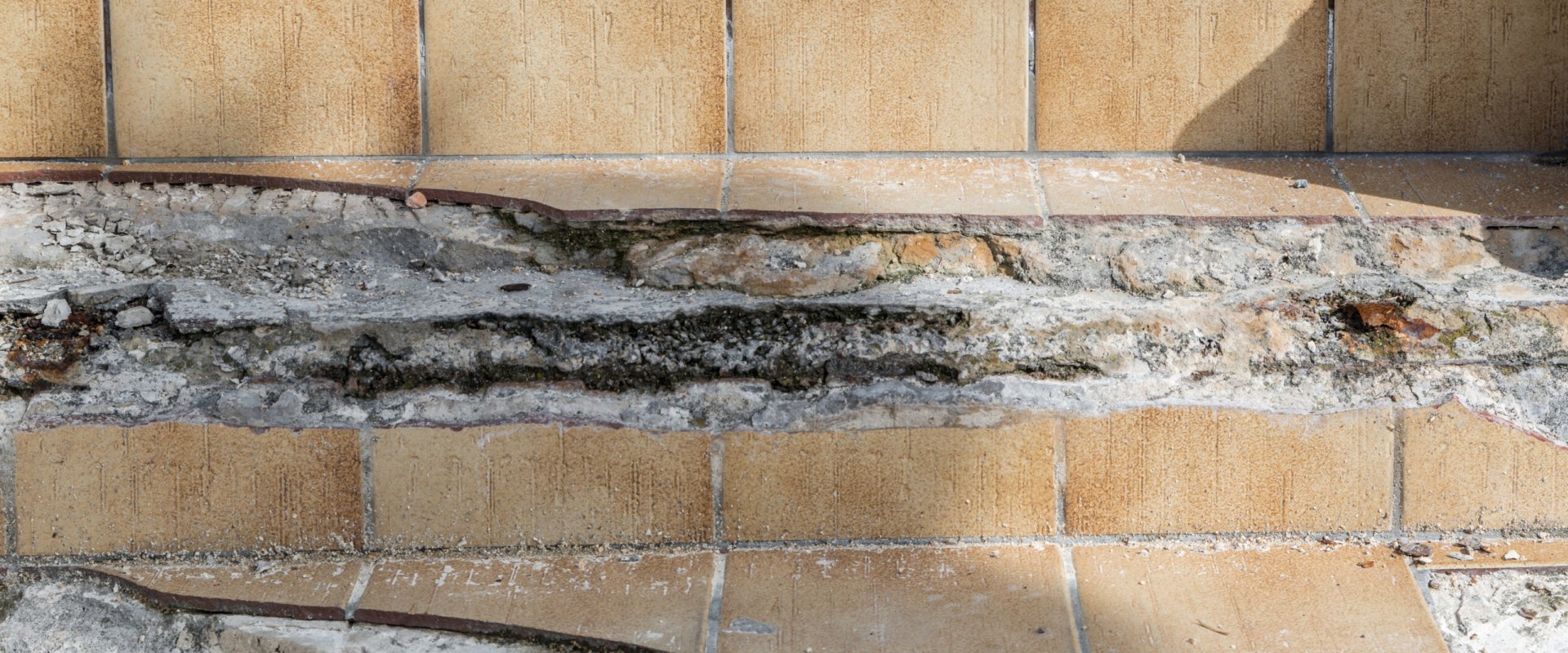 How long does it take for a wall to dry after water damage?