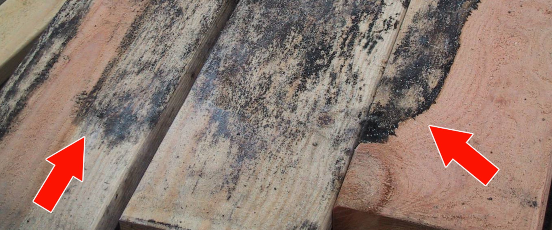 How long does it take for water damage to show?