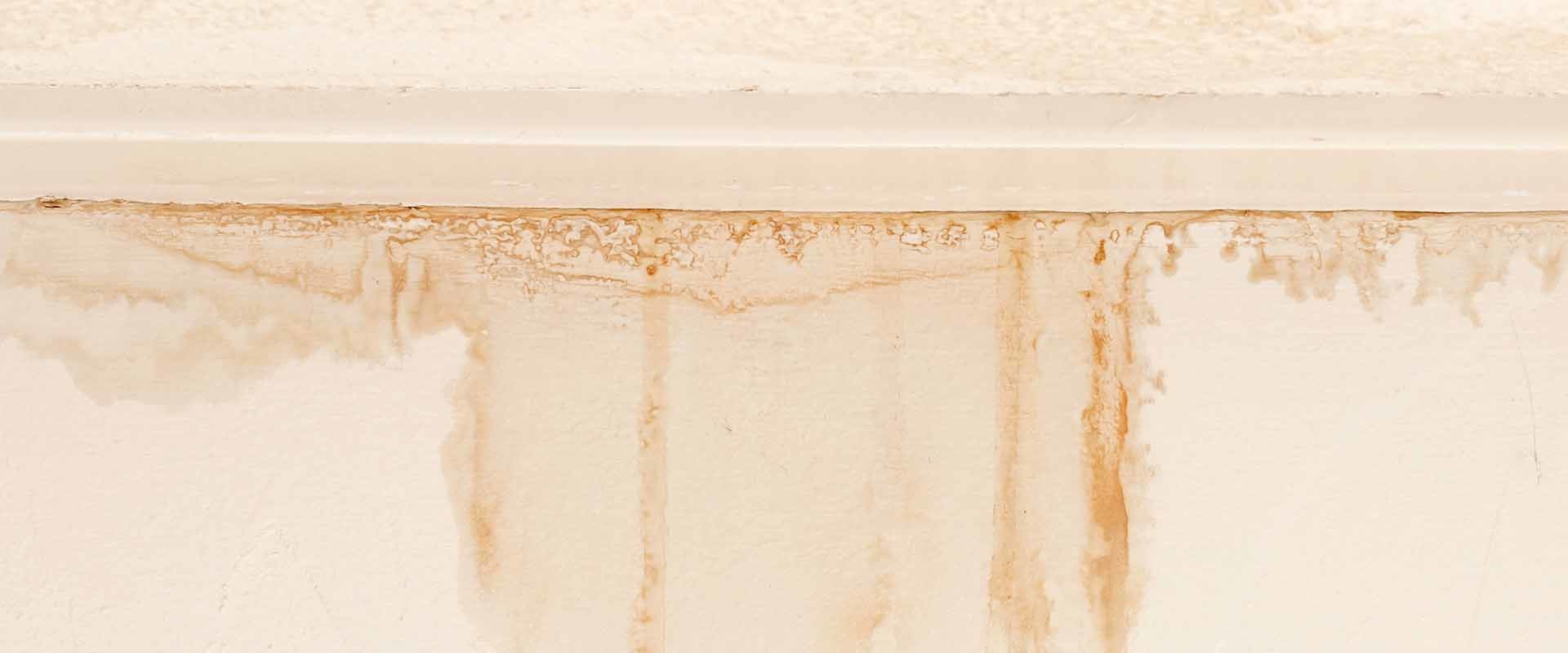 What are the first signs of water damage?