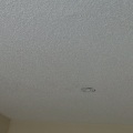 How Long Does It Take for a Water Stain to Appear on the Ceiling?