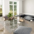 Should i not buy a house with water damage?