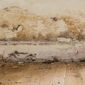 Will rising damp dry out?