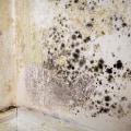 How do you dry out damp walls?