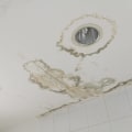 What happens if water damage goes untreated?