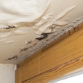 When Should I Worry About a Water-Damaged Ceiling?