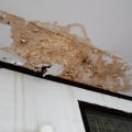 How to Identify Water Damage in Drywall