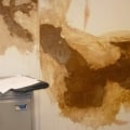 When Water Damage Strikes: What to Do with Wet Plaster