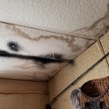Does water damage always cause mold?