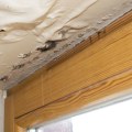 The Consequences of Water Leakage: What You Need to Know