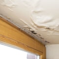 How can you tell if you have water damage in your walls?