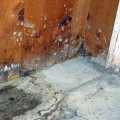 When should i worry about water damage?