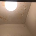 What does new water damage look like?