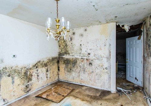 Can water damage in a home be fixed?