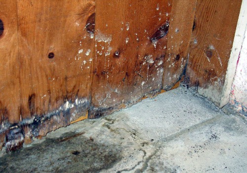 How can you tell if you have water damage?