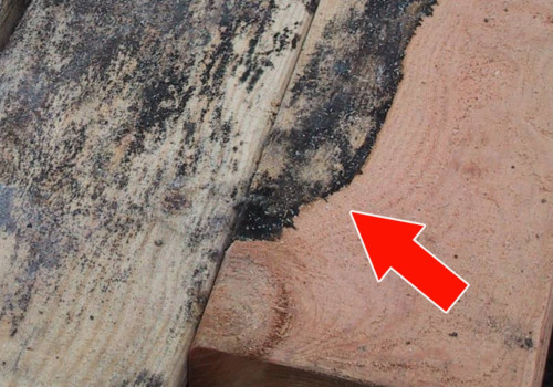 Does water damage show immediately?