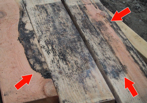 How can i get water damage after no mold?