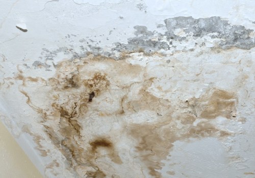 How Long Does it Take for Water Damage to Occur?