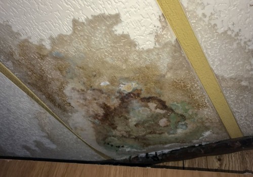 Will a one time water leak cause mold?