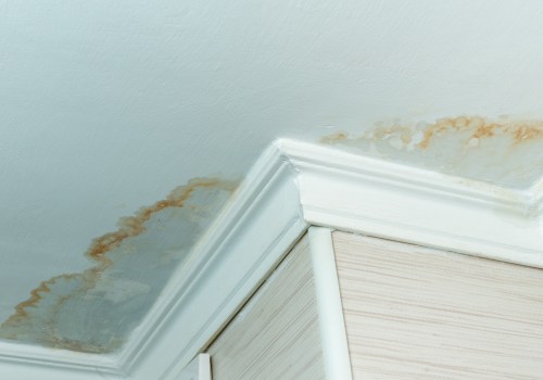 How long does it take for water damage to show on walls?