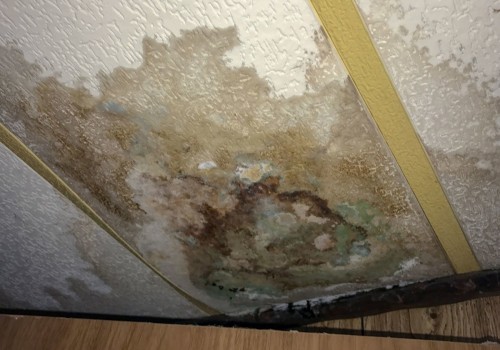 Will a one time leak cause mold?