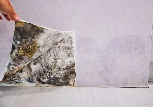 How do you find hidden water damage?