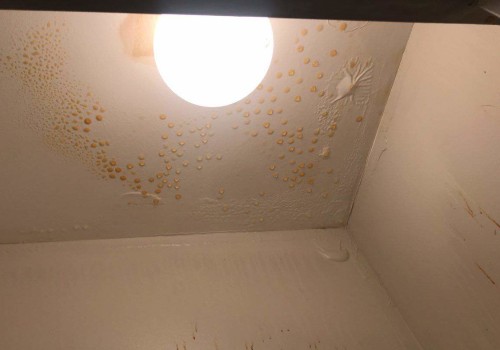 What does the start of water damage look like?
