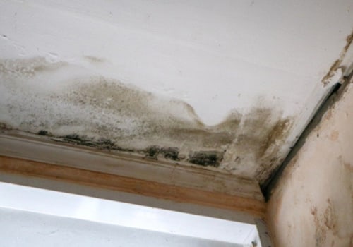 How long does a leak take to show?