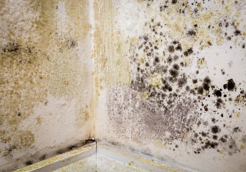 How do you dry out damp walls?