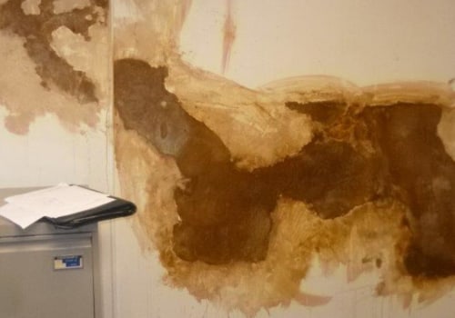 When Water Damage Strikes: What to Do with Wet Plaster