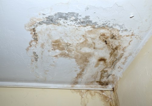 Can water damage cause health problems?