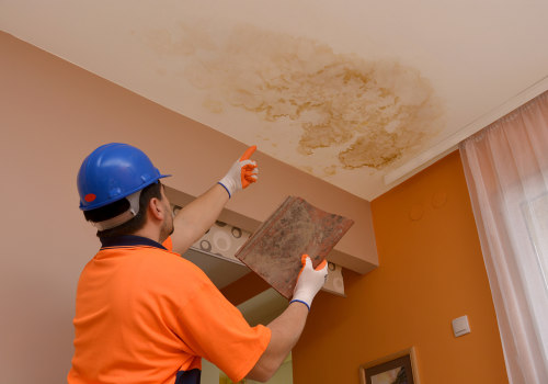 What are the most common signs of water damage?