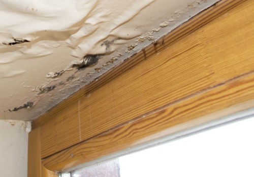 The Consequences of Water Leakage: What You Need to Know