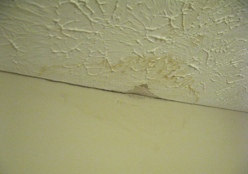 What are the first signs of water damage?