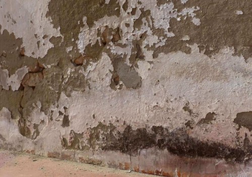 How do you get rid of damp on walls?