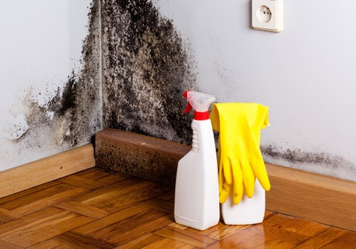 How do you get rid of damp on walls?