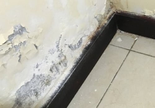What are the Immediate Effects of Water Damage?