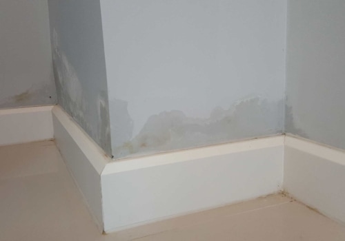 Will moisture in walls dry out?
