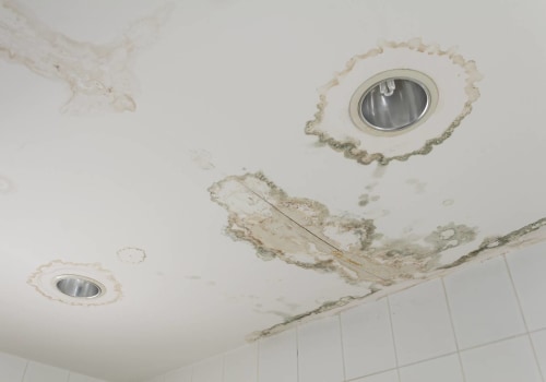 What happens when water damage goes untreated?